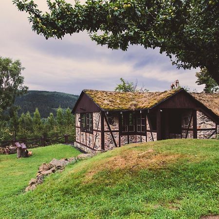 Willa Z Gwarantowanym Widokiem Na Gory Aleksander Panorama Świeradów-Zdrój المظهر الخارجي الصورة