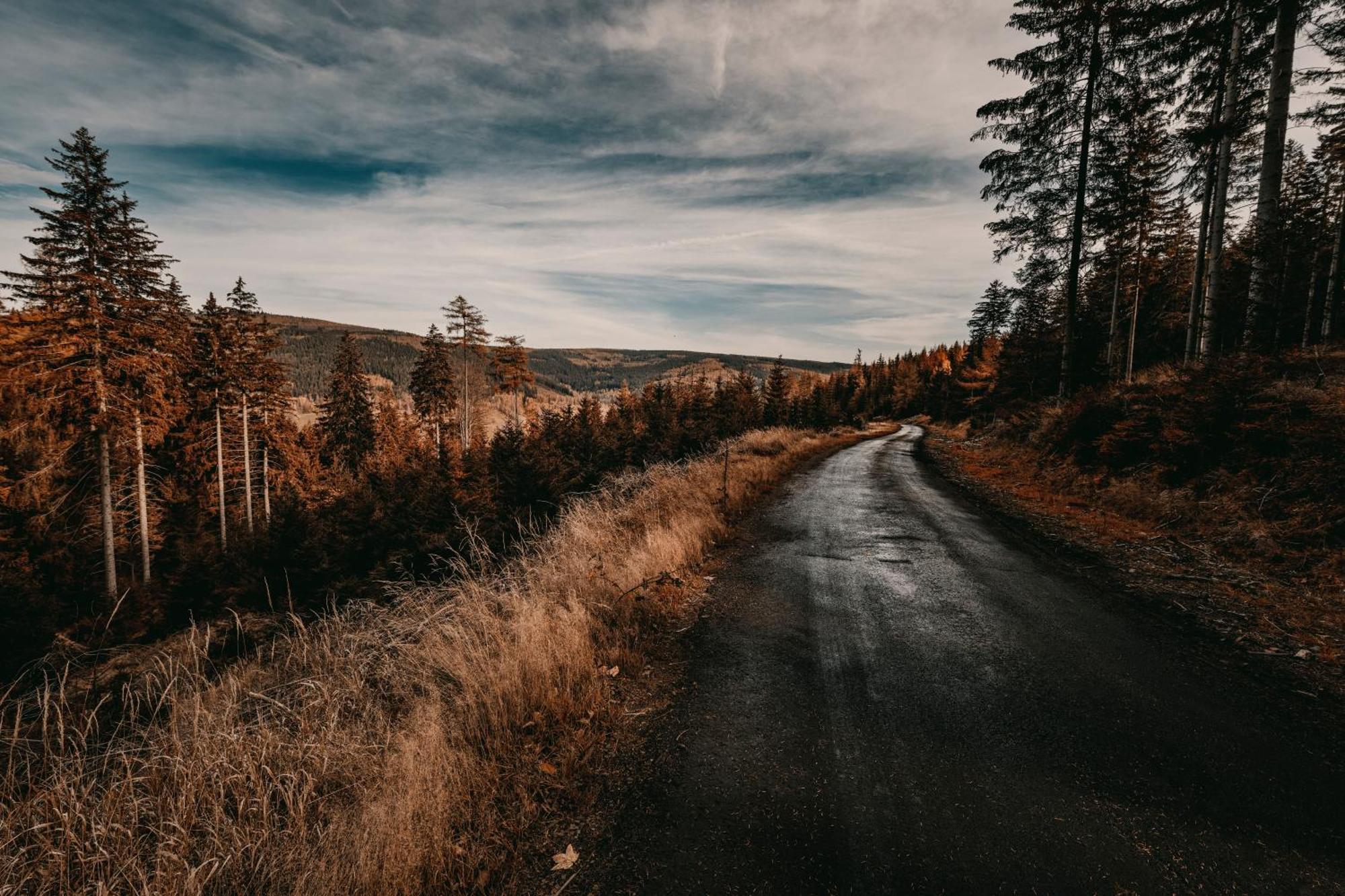 Willa Z Gwarantowanym Widokiem Na Gory Aleksander Panorama Świeradów-Zdrój المظهر الخارجي الصورة